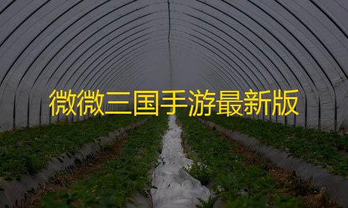 隐身辅助暗区突围微微三国手游最新版